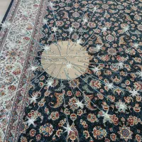 لوسترشاخه ایی|لوستر و چراغ آویز|کرمانشاه, |دیوار