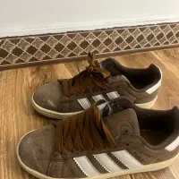 کفش|کیف، کفش، کمربند|سنندج, |دیوار