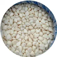 سیر حبه ای