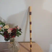 نی  کوک سل|سازهای بادی|اصفهان, رهنان|دیوار