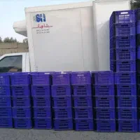 سبد مرغ