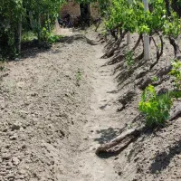 سم پاشی. وبهترین خدمات علف زنی زمین بایر باغ باغچه