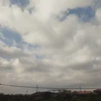 فروش-باغ-مرکبات-با-موقعیت-عالی-در-شهرستان-بابل