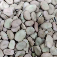 پخش خوراک دام و طیور و علافی و حبوبات و برنج|عمده‌فروشی|مهربان, |دیوار