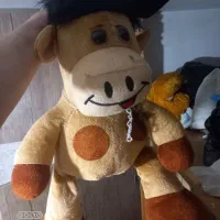 عروسک|اسباب‌بازی بچه|کرمانشاه, |دیوار