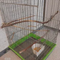 قفس بزرگ نو|لوازم جانبی حیوانات|بندر امام خمینی, |دیوار