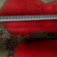 خرس شاسخین ۴تاش باهم میدم|اسباب‌‌بازی|مشهد, توس (بلوار توس)|دیوار