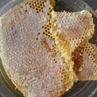 عسل کاملا طبیعی ،ترشی هفت بیجار