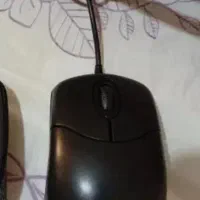 موس اصل