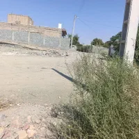 زمین فروشی|فروش زمین و ملک کلنگی|کهنوج, |دیوار