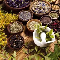 ترک اعتیاد کاملا تضمینی۱۰۰ درصد گیاهی|خدمات آرایشگری و زیبایی|زابل, |دیوار