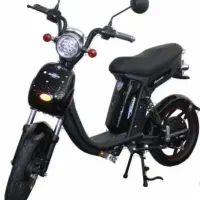 موتور برقی ثمین 500 وات