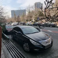 سوناتا YF ۲۰۱۲ فول، بی رنگ