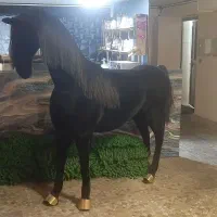 مجسمه اسب تزئینی