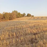 فروش ۴۰۰۰هزارمترمربع زمین کشاورزی