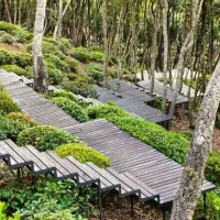 آپارتمان-سه-خواب-والفجر-تک-واحدی