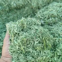 یونچه|لوازم جانبی حیوانات|خرمآباد, |دیوار