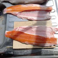 استخدام کارگر