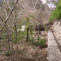 اجاره روزانه ویلا باغ دهبالا