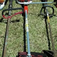 علفتراشی،سم‌پاشی،هرس،بصورت تخصصی