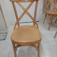 صندلی کمربندی چوب راش(لهستانی)