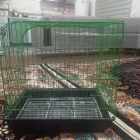 قفس در حد سالمم  رنگ سبز