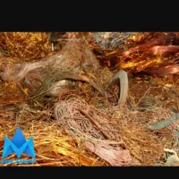 خرید فروش انواع ضایعات درب منزل سیارخریدارم|عمده‌فروشی|بندرعباس, |دیوار