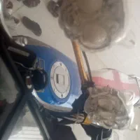 دوعدد چراغ جقدی