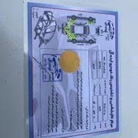 پژو پارس ساده