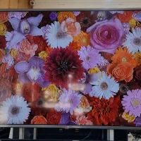 ۶۰ الجی با گارانتی|تلویزیون و پروژکتور|گرگان, |دیوار