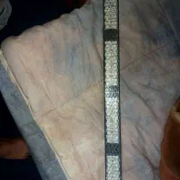 چراغ فدرال نو کنترلی