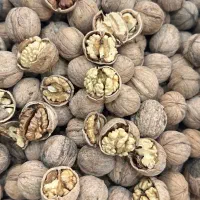 گردو خوش طعم تازه برداشت امسال شهر تویسرکان|خوردنی و آشامیدنی|تهران, گلچین|دیوار