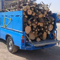 خریدار انواع چوب تروخشک|خدمات باغبانی و درختکاری|قیدار, |دیوار