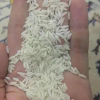 برنج هاشمی درجه یک گیلان