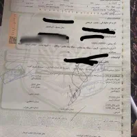 نیسان زامیاد