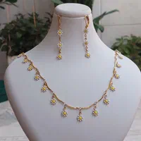 بدلیجات شیک