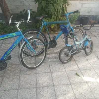 فروش دوچرخه