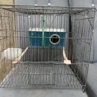 قفس با لوازم