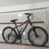 دوچرخه ویوا ۲۶