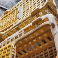 جعبهی حیوانات|لوازم جانبی حیوانات|زنجان, |دیوار