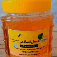 عسل کوهی|حراج|مشگین شهر, |دیوار