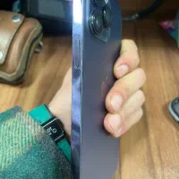 14 promax za بنفش ریجستر شده