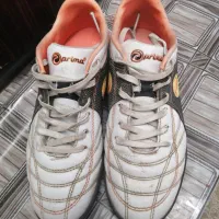 کفش سالنی فوتسال|کیف، کفش، کمربند|استهبان, |دیوار