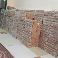 خرما کبکاب جنوبی