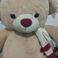 قوری کتری سالم خرسی هم سالم|قوری، کتری، قهوهساز دستی|قرچک, زیبا شهر|دیوار