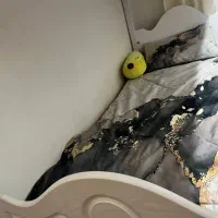 تخت دو طبقه|تخت و سرویس خواب|رشت, منظریه|دیوار