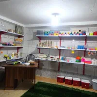 پت شاپ پرندگان ترینو ،جفت مولدوجوجه سری لاکی عروس|پرنده|فسا, |دیوار