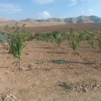 زمین-کشاورزی-1100متری