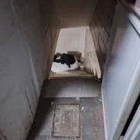 انباری  ۷۵ متری