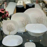 ظرفهای غذاخوری جدید